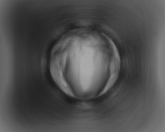 X0000100930739200807081212