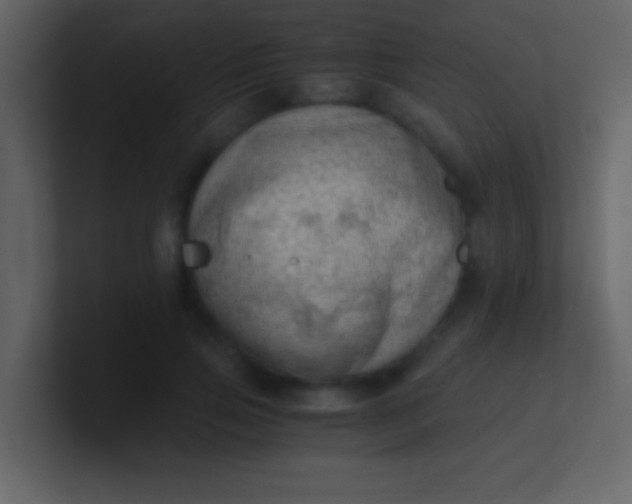 X0000100930741200807081212