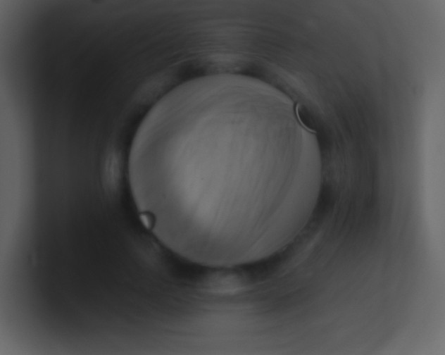 X0000100930742200807081212