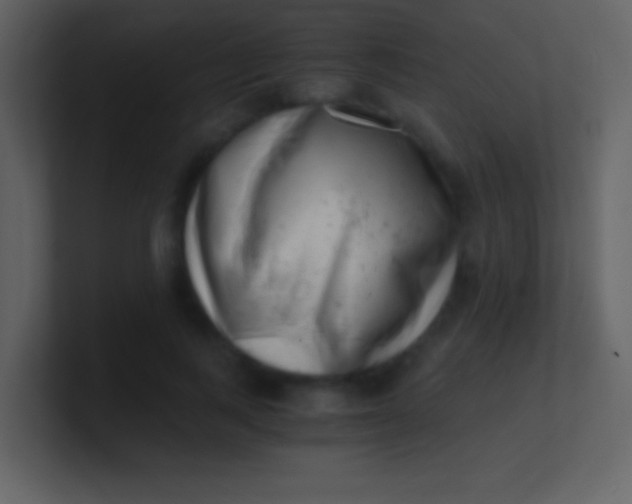 X0000100930743200807081212