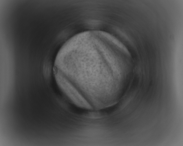 X0000100930744200807081212