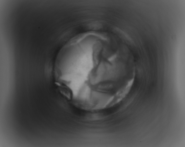 X0000100930745200807081212