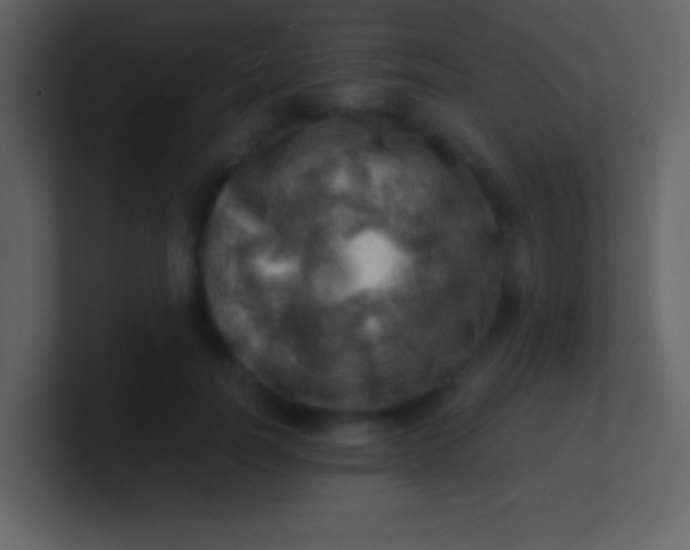 X0000100930746200807081212