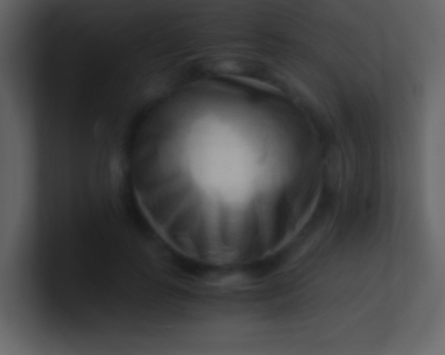 X0000100930747200807081212