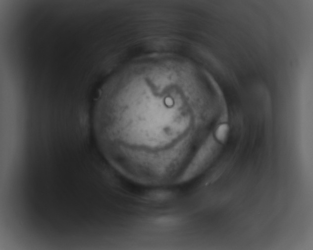 X0000100930749200807081212