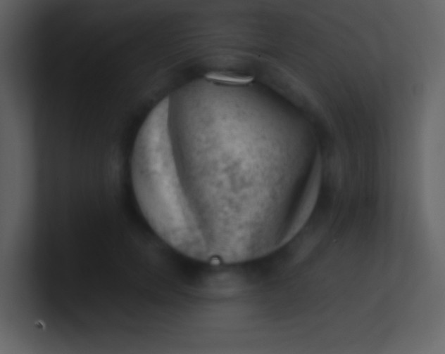 X0000100930750200807081212