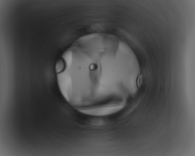 X0000100930751200807081212