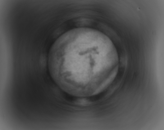 X0000100930753200807081212