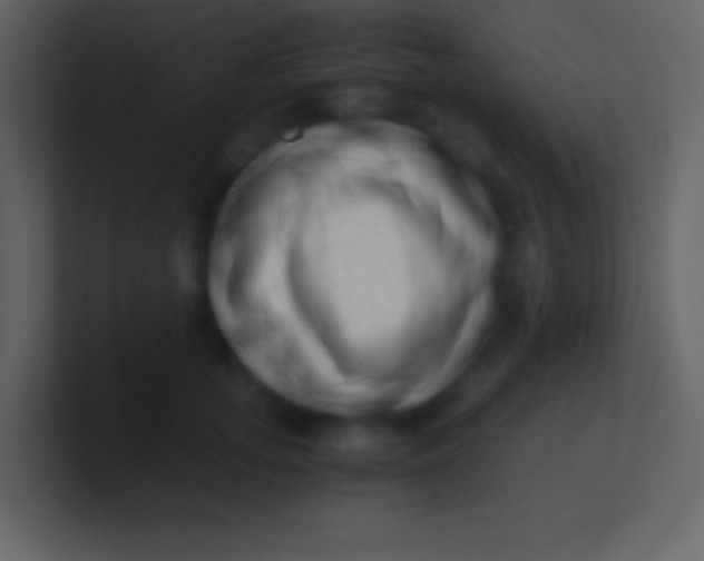 X0000100930755200807081212