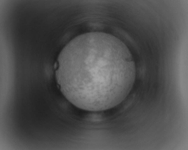 X0000100930756200807081212