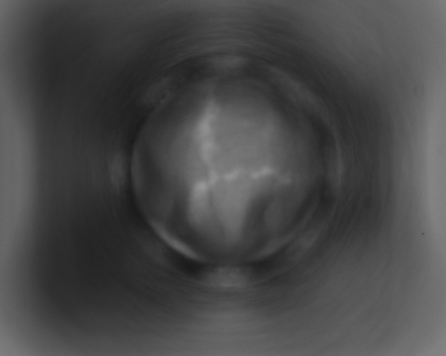 X0000100930758200807081212