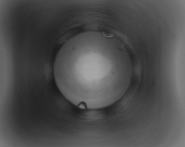 X0000100930759200807081212