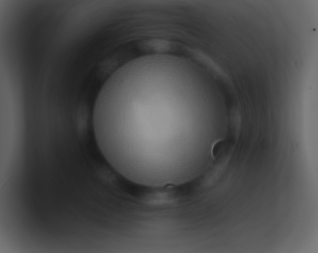 X0000100930760200807081212