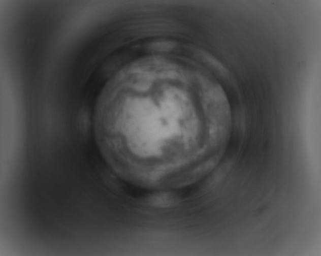 X0000100930761200807081212