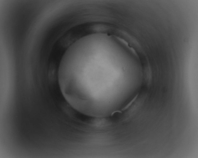 X0000100930762200807081213