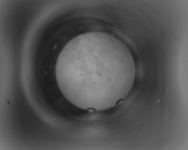 X0000100930764200807081213