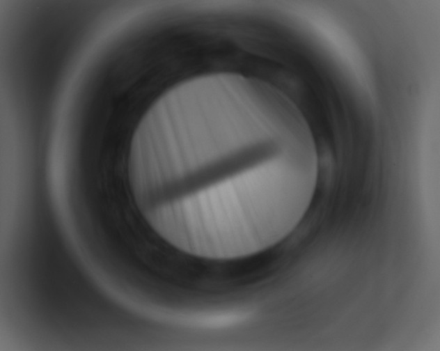 X0000100930765200807081213