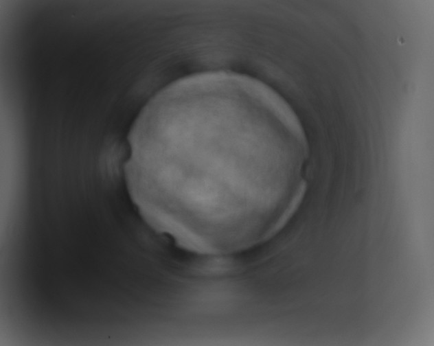 X0000100930768200807081213