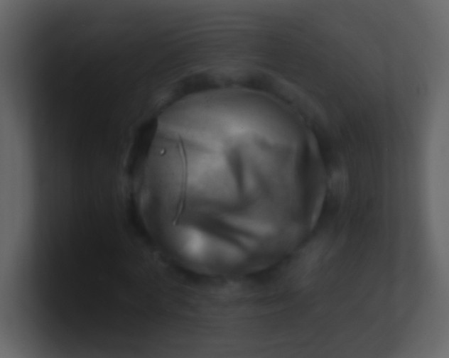 X0000100930772200807081212