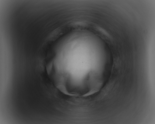 X0000100930774200807081212