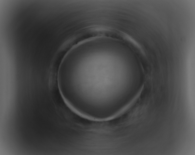 X0000100930775200807081212