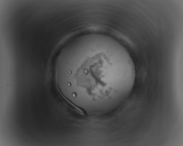 X0000100930776200807081212