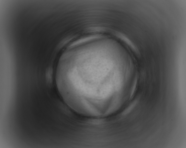 X0000100930778200807081212