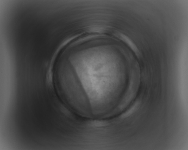 X0000100930779200807081212