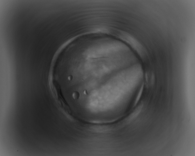 X0000100930780200807081212