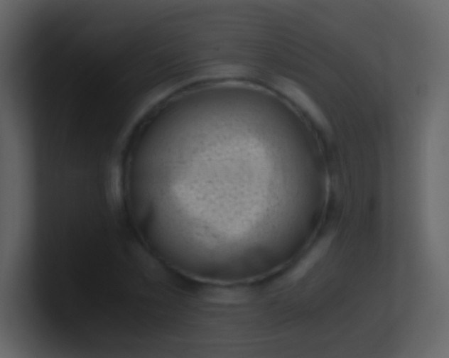 X0000100930781200807081212