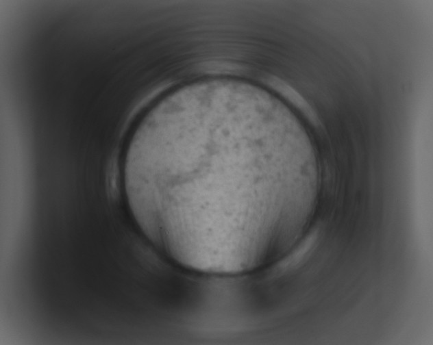 X0000100930782200807081212