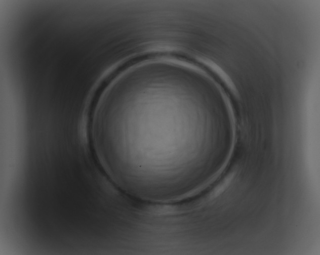 X0000100930783200807081212