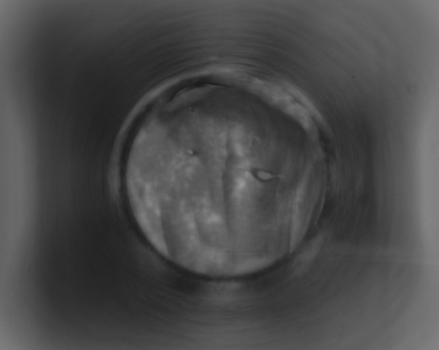 X0000100930784200807081212