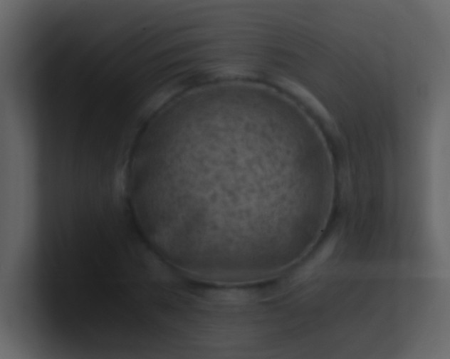 X0000100930785200807081212