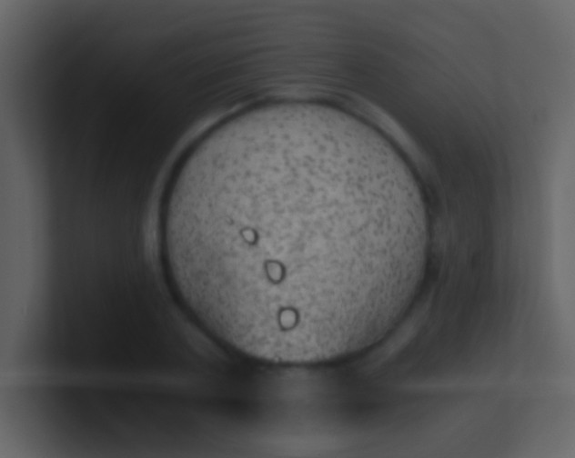 X0000100930787200807081212