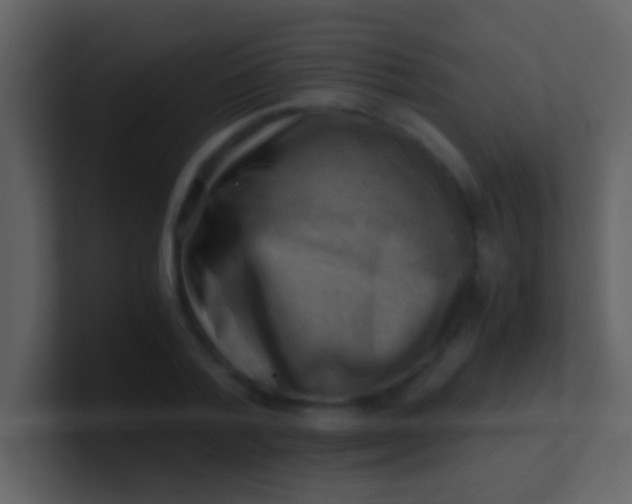 X0000100930788200807081212