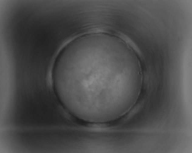 X0000100930789200807081212