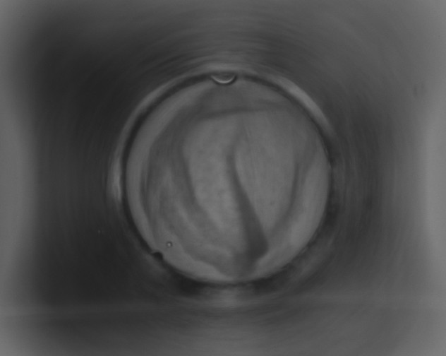 X0000100930791200807081212