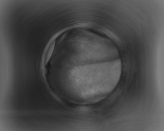 X0000100930792200807081212