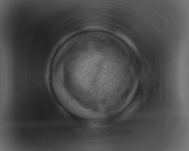 X0000100930799200807081211