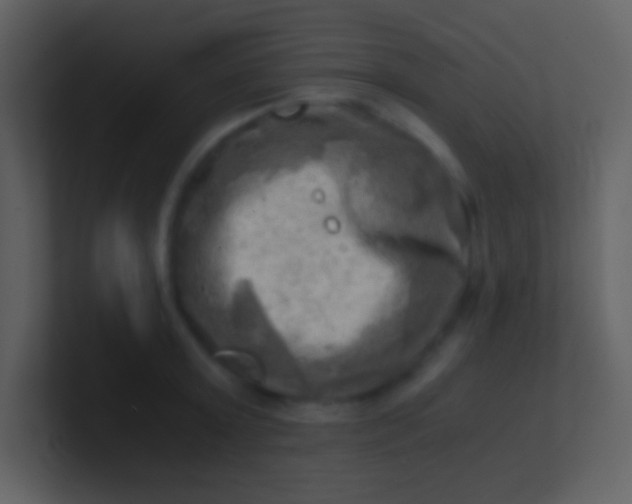 X0000100930803200807081211