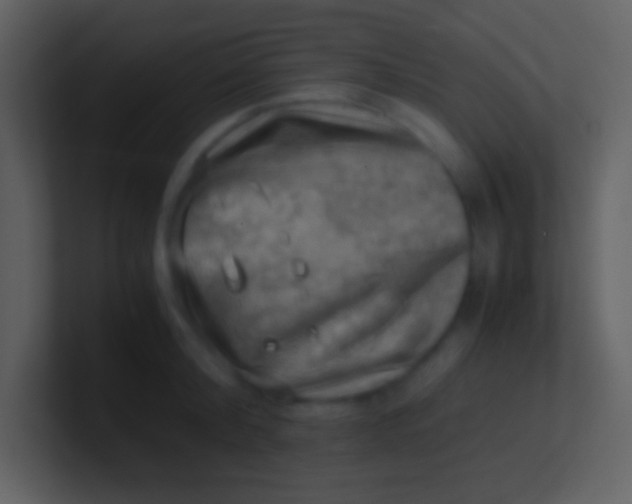 X0000100930804200807081211