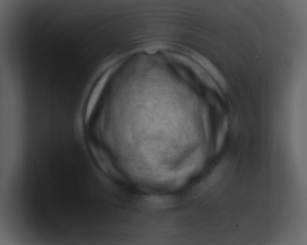 X0000100930805200807081211