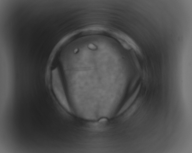 X0000100930808200807081211