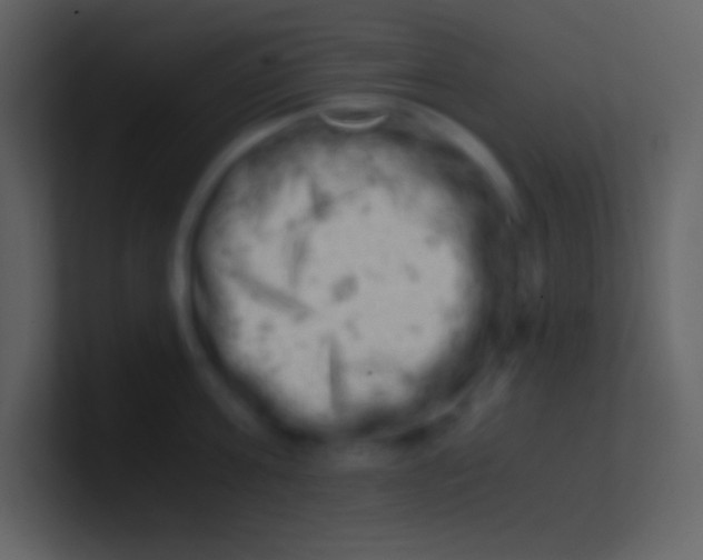 X0000100930811200807081211