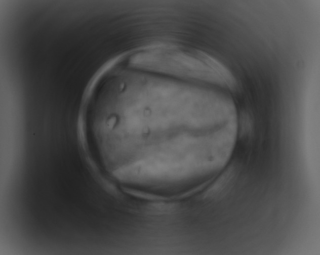 X0000100930812200807081211