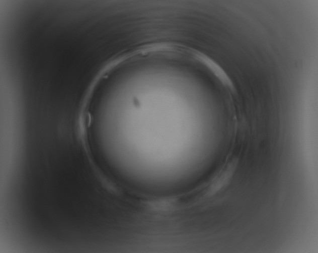 X0000100930813200807081211