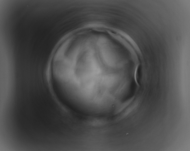 X0000100930815200807081211