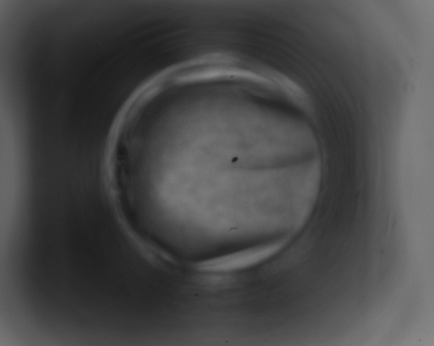 X0000100930816200807081211