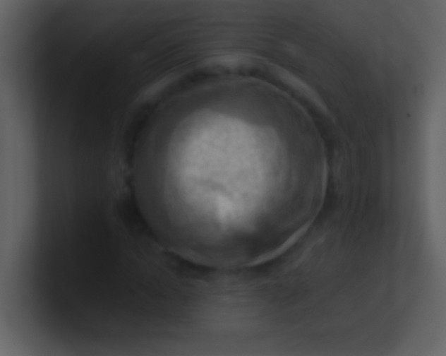 X0000100930822200807081211